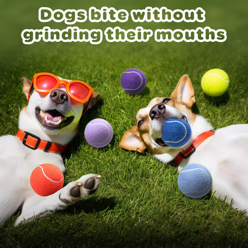 Pet Dog Playing Balls, 6 Pack Advanced Training Tennis Balls for Dogs, Good for Beginner Training, Polychrome Canned