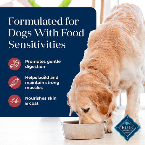 Blue Buffalo Basics Adult Dry Dog Food - Salmon & Potato Recipe, Limited Ingredient Diet, 11-lb Bag, Made in the USA