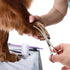4 1) GEMEK Dog Grooming Scissors with Safety Round Tips Stainless Steel Professional Dog Grooming Kit - Thinning
