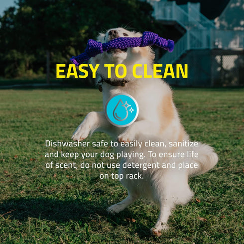 Playology Silver Dri-Tech Dental Rope Dog Toy for Medium Senior Dogs (15-35lbs), All-Natural Peanut Butter Scented Chew