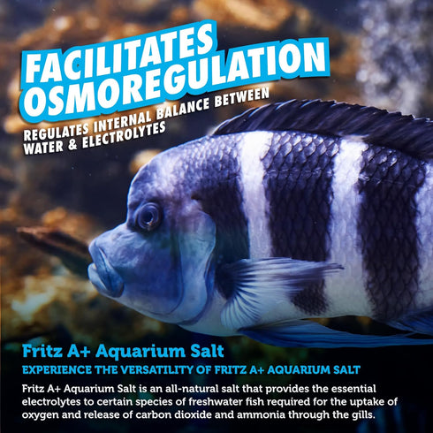 Fritz Aquatics A+ Aquarium Salt Treatment for Freshwater Fish, 2 lbs