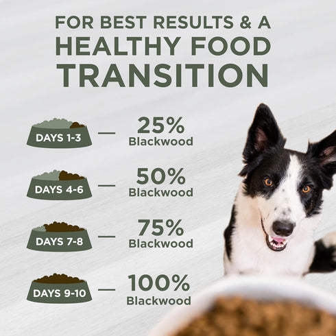 Blackwood Sensitive Skin & Stomach Dry Dog Food, Lamb Meal & Brown Rice, 10 lb Bag with Prebiotics & Probiotics