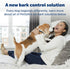 PetSafe Audible Bark Dog Collar, Humanely Stop Barking, Alternative to Static Shock No Bark Collar, 10 Levels of Safe