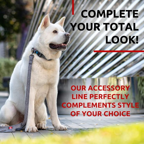 WAUDOG Recycled Cotton Dog Leash, 6 Ft / 10 Ft, Eco-Friendly Collar for Small Medium & Large Dogs, Reflective Leash