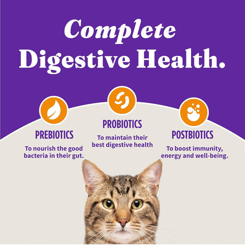 Halo Holistic Kitten Food Dry, Grain Free Cage-free Chicken Recipe, Complete Digestive Health, 3-lb Bag