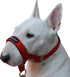 Dog Head Collar Halter Red (S: 6.5"-8.25" Snout) - 6 Sizes Available