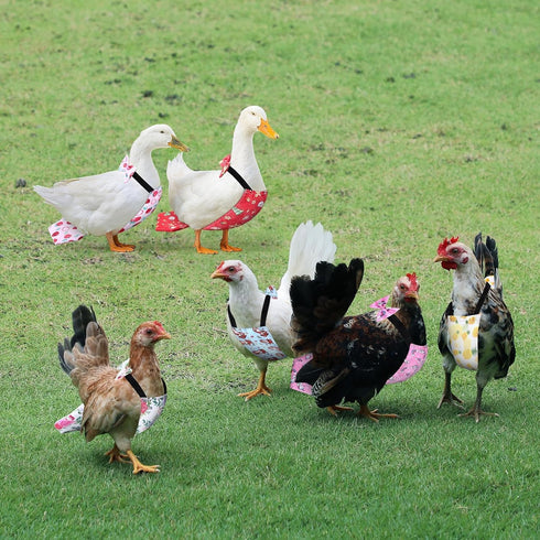 8-Pack Adjustable Chicken Diapers - Reusable Waterproof Duck Diapers for Poultry (Large)