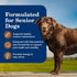 7+ 7+ 12.5 oz. (Pack 12) Blue Buffalo Homestyle Recipe Senior Turkey and Vegetable Dinner Wet Dog Food for Senior Dogs