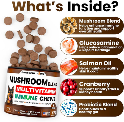 170 Immune Turkey Tail Mushroom Supplement for Dogs - Chews - Mushrooms for Dogs - Reishi, Lions Mane, Glucosamine
