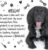 Oatmeal & Aloe Vera Dog Shampoo, Professional Vegan Pet Shampoo & Conditioner for Smelly Dogs