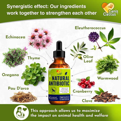Antibiotics for Dogs and Cats, Natural Antibiotics for Pets, 2 Oz for Health Support