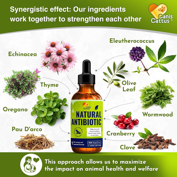 Antibiotics for Dogs and Cats, Natural Antibiotics for Pets, 2 Oz for Health Support