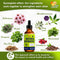 Antibiotics for Dogs and Cats, Natural Antibiotics for Pets, 2 Oz for Health Support