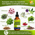 Antibiotics for Dogs and Cats, Natural Antibiotics for Pets, 2 Oz for Health Support