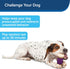 PetSafe Busy Buddy Nobbly Nubbly Treat Holding Dog Toy - Strong Chewers, Small, Multi Color, Treat Rings Included