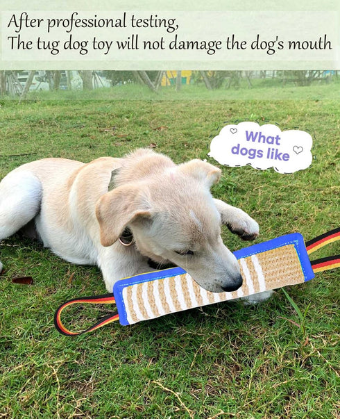Dog Tug Toy - Tough Jute Bite Pillow for Interactive Training, Two Flag Handles for Puppies to Large Dogs, Aggressive