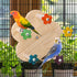 PEUTIER Wood Bird Rotating Perch Toy, Parrot Spinning Toy with Bearing Bird Ferris Wheel Toy Parakeet Toy Cockatiel