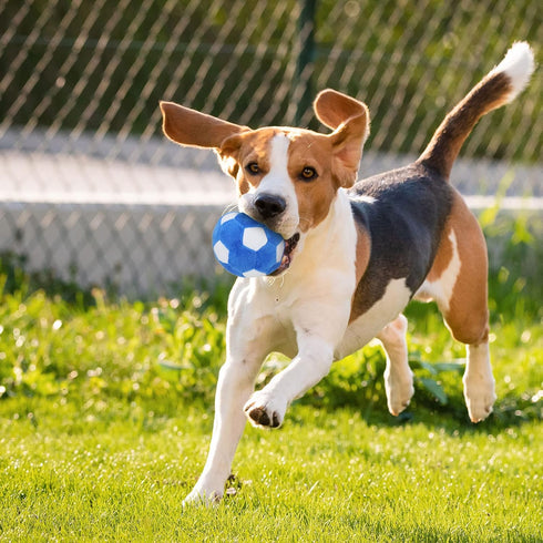 Chewable Plush Football Dog Toy, Soft Squeaky Ball for Small and Medium Breeds, Birthday Gift