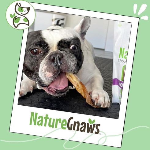 4-5" (12 Count) Nature Gnaws Beef Tendons for Dogs - Mixed Thickness - Long Lasting for Small and Medium Dogs - Natural