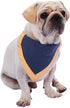 Blueberry Pet Adjustable Bandana Collar with Embroidered Name Tag – Eco-Friendly Quick-Release Buckle, Greyish-Purple,