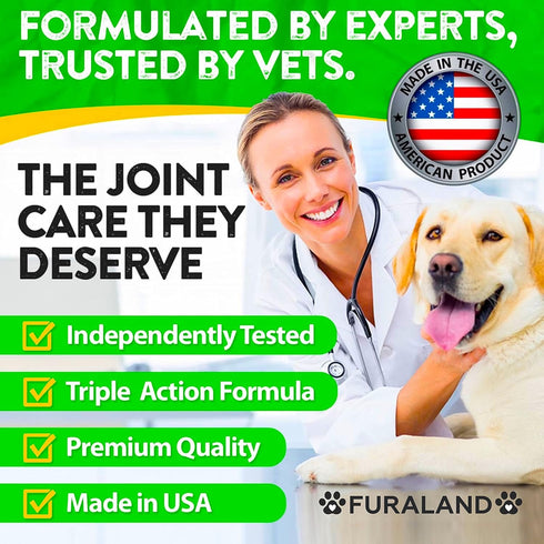 FURALAND 170 Hemp Hip and Joint Supplement for Dogs - Glucosamine for Dogs - Dog Joint Pain Relief Treats