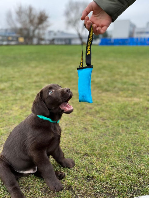 Dingo Dog Tug Toy with Handle, Dog Bite Pillow for Tug of War, Colorful Cotton, Size S, Z30001