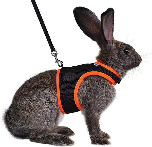 Niteangel Adjustable Soft Harness with Elastic Leash - For Rabbits (M, Black)