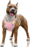 BARKBAY No Pull Dog Harness Large Reflective Dog Harness with Front Clip