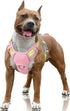 BARKBAY No Pull Dog Harness Large Reflective Dog Harness with Front Clip