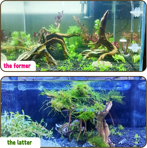 Hamiledyi 5PCS Driftwood for Aquarium, 7-9inch Natural Reptile Spider Wood, Assorted Branches Fish Tank Decor