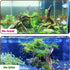 Hamiledyi 5PCS Driftwood for Aquarium, 7-9inch Natural Reptile Spider Wood, Assorted Branches Fish Tank Decor