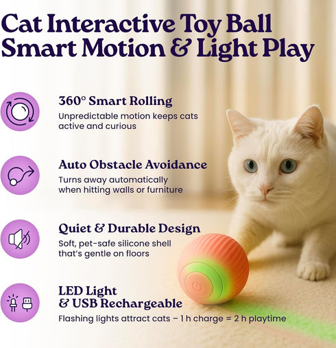 gameOFF 6 1, (30ct.), Cat Care Grooming Kit in Include: Nail Clipper, Brush for Shedding, Wand Toy, Interactive Ball