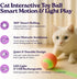 gameOFF 6 1, (30ct.), Cat Care Grooming Kit in Include: Nail Clipper, Brush for Shedding, Wand Toy, Interactive Ball