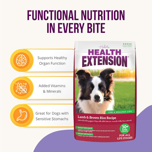 Health Extension Dry Dog Food - Natural Food for Puppies & Dogs with Added Vitamins, Lamb & Brown Rice Recipe (1 Lb)