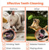 Rugby Squeaky Dog Toys for Aggressive Chewers, Durable Indestructible Football Chew Toys for Medium Large Breeds