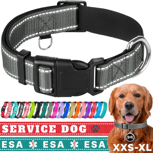 TECEUM Reflective Gray Pet Collar, S, Extra Soft Padding, Basic Nylon Dog Collar with Quick Release Buckle