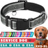 TECEUM Reflective Gray Pet Collar, S, Extra Soft Padding, Basic Nylon Dog Collar with Quick Release Buckle