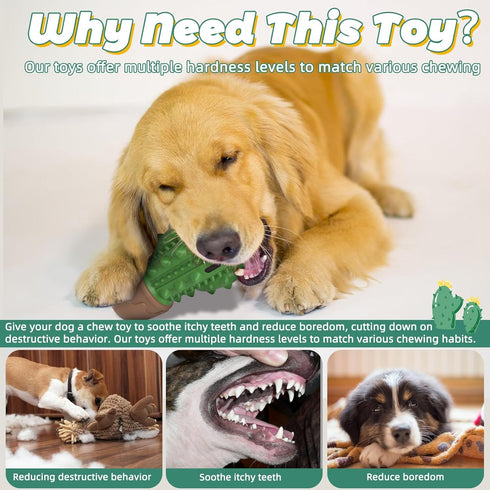 Dog Toys for Aggressive Chewers, Durable Beef Flavor Chew Toys for Medium Large Dogs, Cactus Toothbrush
