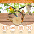 Finches Rotating Bird Perch Stand Toy Natural Wooden Parakeet Toys with Edible Chew Toy Interactive Spinning Toy Bird