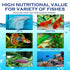Vorenzyme 100% 4.5oz Freeze Dried Brine Shrimp Cubes Natural HighProtein Fish Food for Tropical, Marine & Freshwater