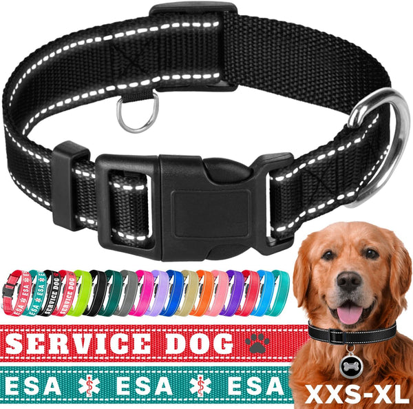 TECEUM Reflective Pet Collar – Basic Nylon Dog Collar – Quick Release Buckle – Black – L – Fits Small, Medium and Large