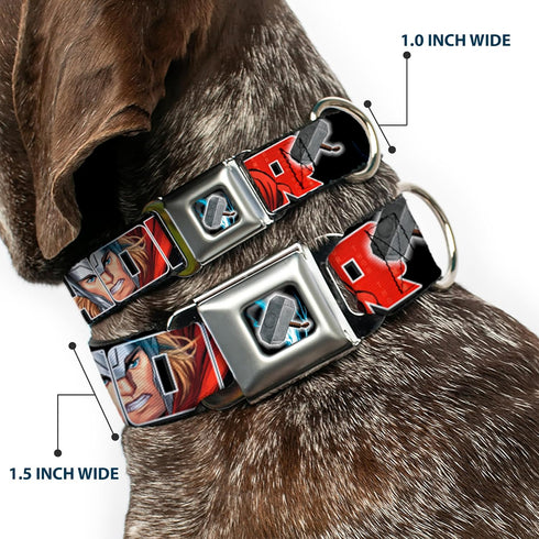 Dog Collar Seatbelt Buckle, Thor Poses Hammer, 11 to 17 Inches, 1.0 Inch Wide