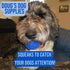 Doug's Dog Supplies Honeycomb Squeaky Ball, Squeaky Balls for Medium to Large Dogs (Blue, 1)