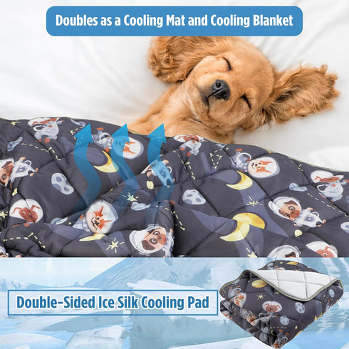 Paw Legend Dog Cooling Mat, Washable Cooling Pad for Dogs and Cats, Summer Tech Fabric, Medium Size for Kennel Sofa