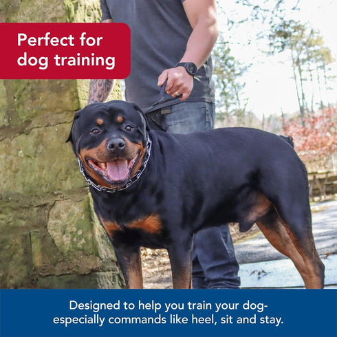 Coastal Pet Titan Dog Prong Training Collar, Rust-Resistant Metal for Dog Training - Quality Dog Supplies - 4 mm x 22"