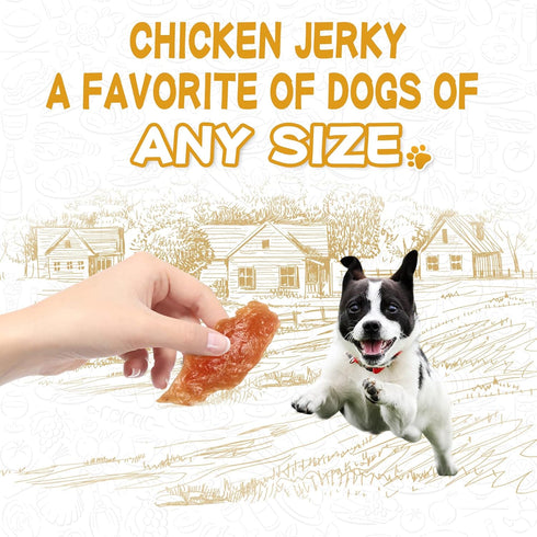 Chicken Jerky Dog Treats, Human Grade, All Natural High Protein, Rawhide-Free, 12.5 oz