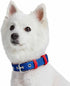 Blueberry Pet Iconic Color-Block Adjustable Dog Collar, Navy Blue and Red, Neck 17-20.5", for Large Breed