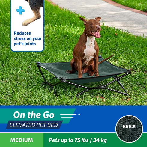 Coolaroo On The Go Cooling Elevated Dog Bed, Portable for Travel & Camping, Collapsible Medium, Brunswick Green