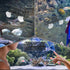Fyntave Hammock, Hammock Swimming Betta Fish Tunnel Hollow Betta Fish Tunnel, Black Tunnels Hideout for Betta Tank