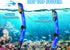 Sets Snorkeling Gear for Adults with Fins Scuba Diving Gear Adult Professional Travel Snorkel with Flippers,Anti-Fog